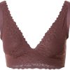 Sloggi Women's Zero Feel Lace 2.0 Top (10211257)ebony brown Damen-Unterwäsche